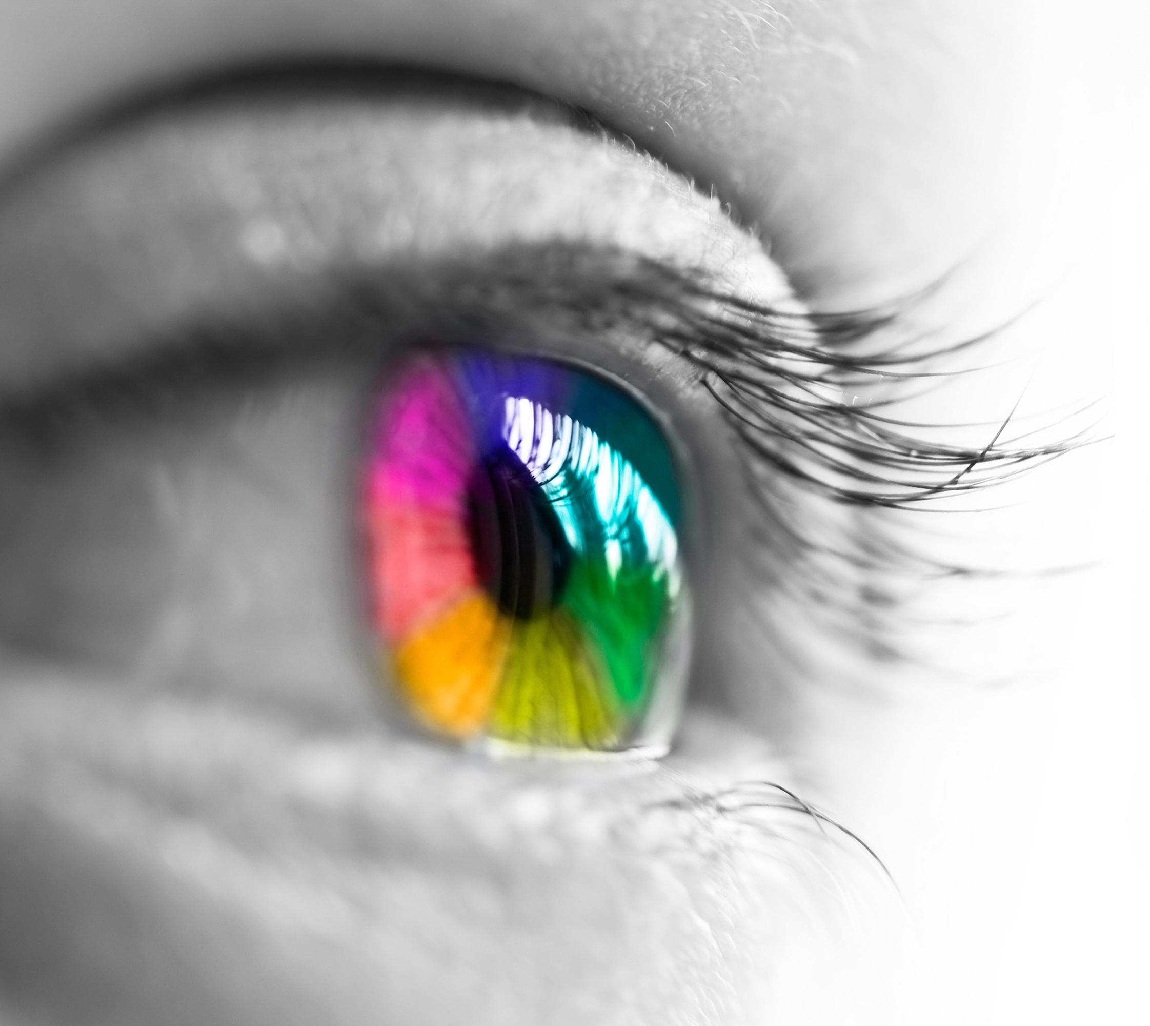 Close-up of a colorful rainbow eye